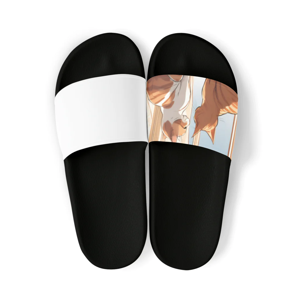 NanikatonanikaのDoratoTama Sandals