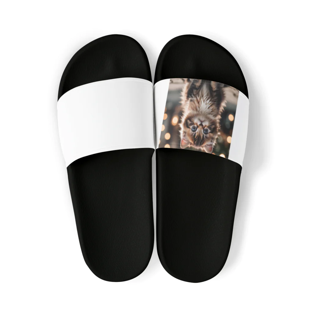 manaco-のふわふわの猫ちゃん Sandals
