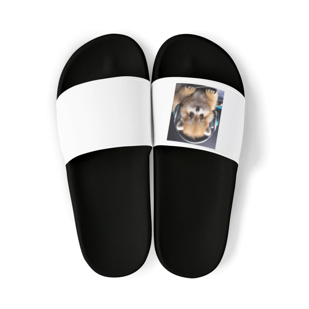 satoshi07のDJDOG Sandals