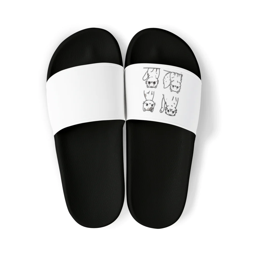 チェリモヤのにゃんこの仲間たち Sandals