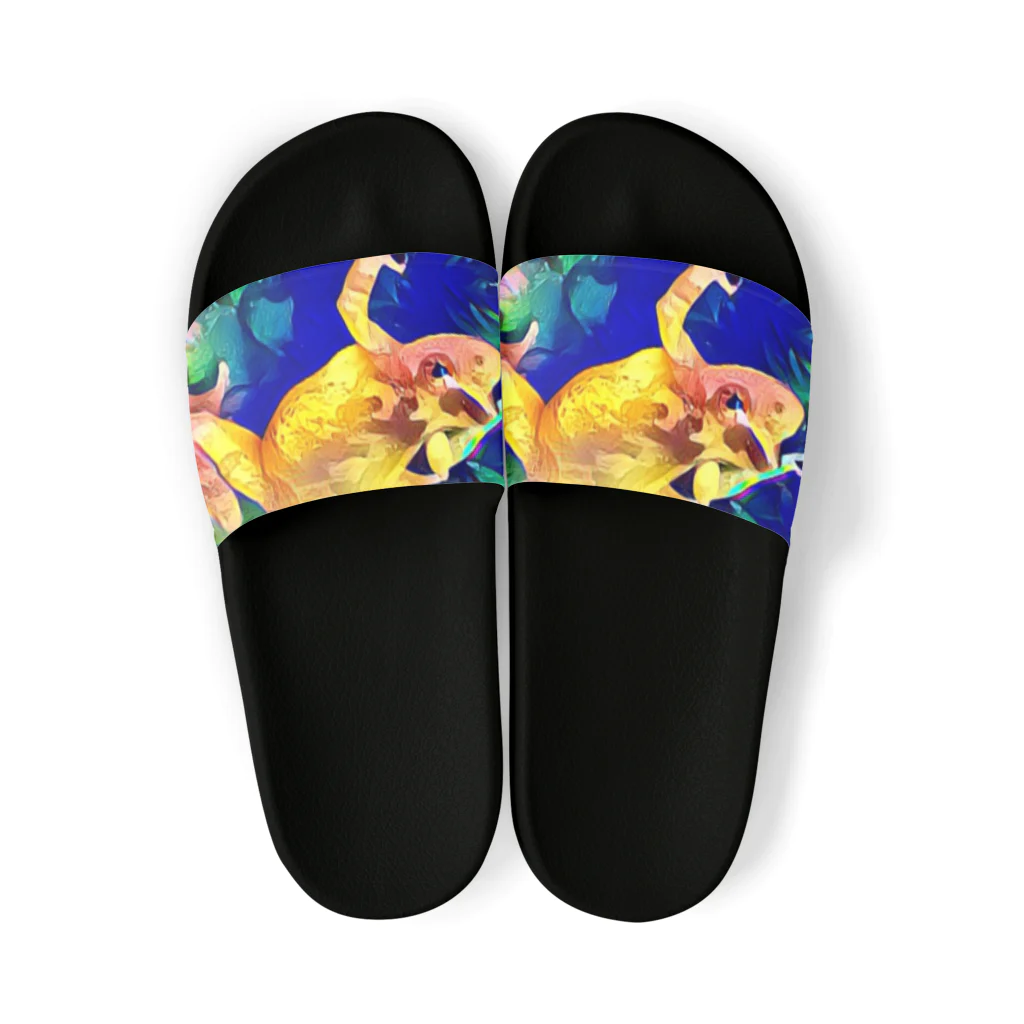 Fantastic FrogのFantastic Frog -Bright Version- Sandals