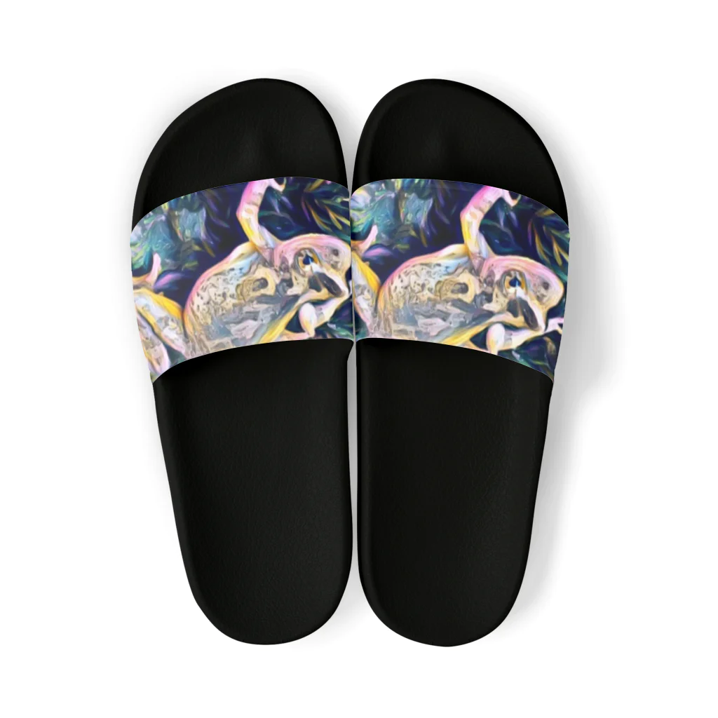 Fantastic FrogのFantastic Frog -Highlight Version- Sandals