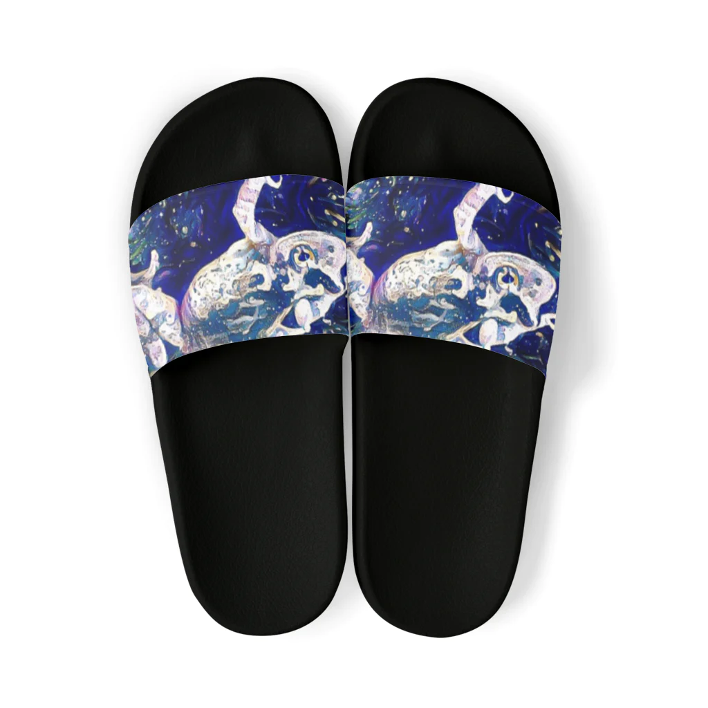 Fantastic FrogのFantastic Frog -Cosmos Version- Sandals