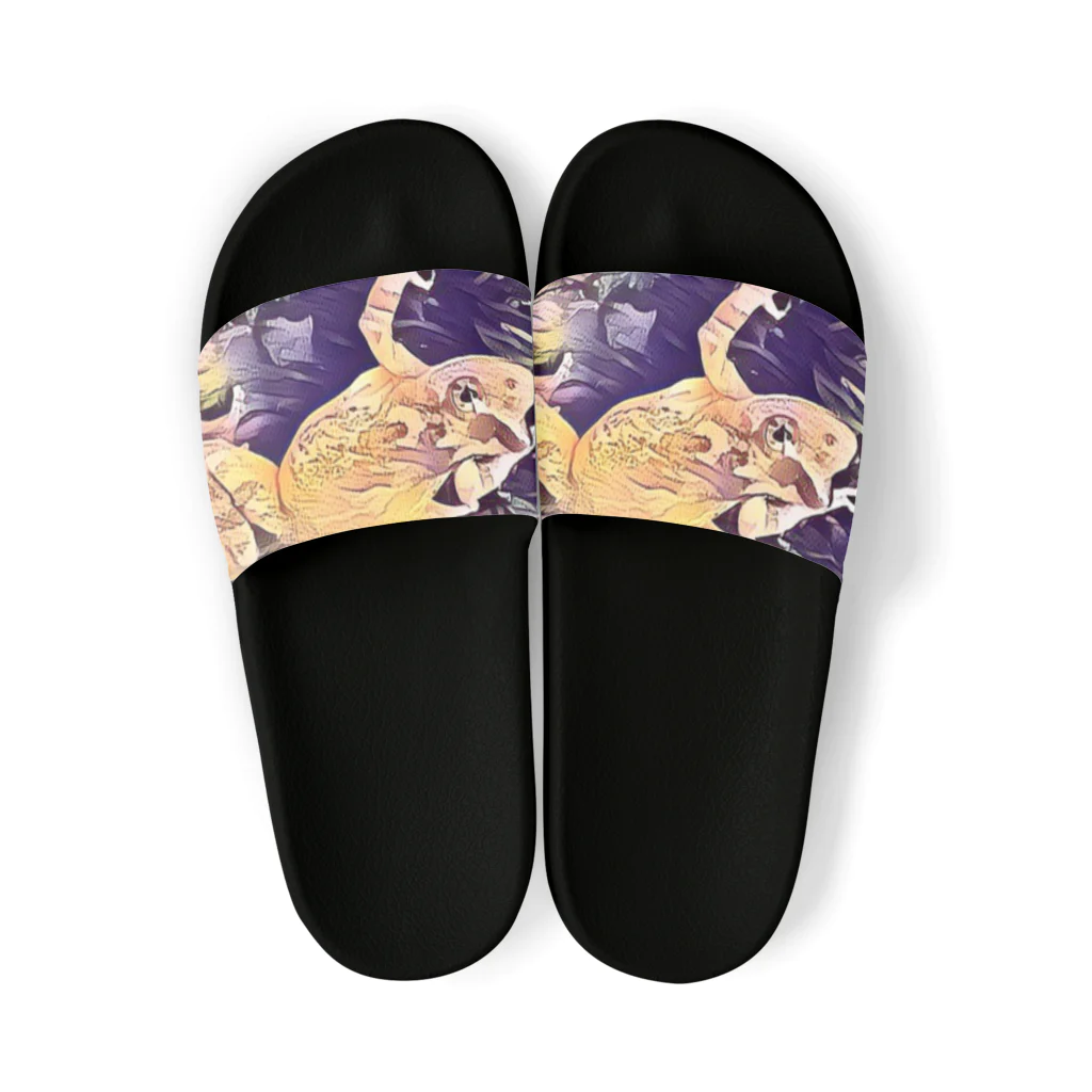 Fantastic FrogのFantastic Frog -Soul Version- Sandals