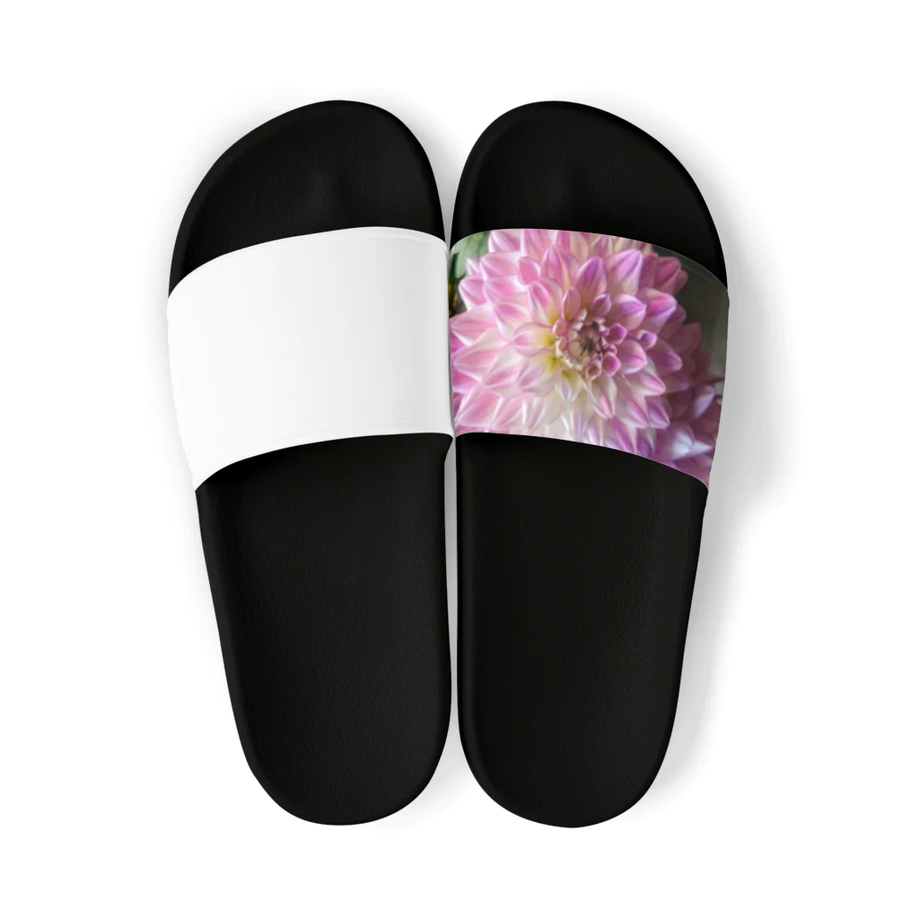 seide.blume～Ｄ＊Ｒ～のダリア Sandals