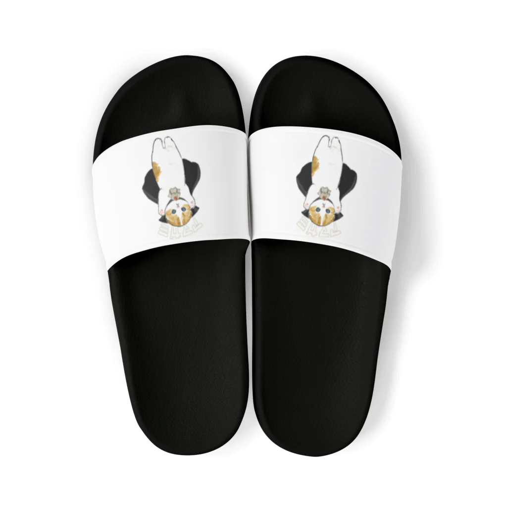 mofusandのドラキュラにゃん Sandals