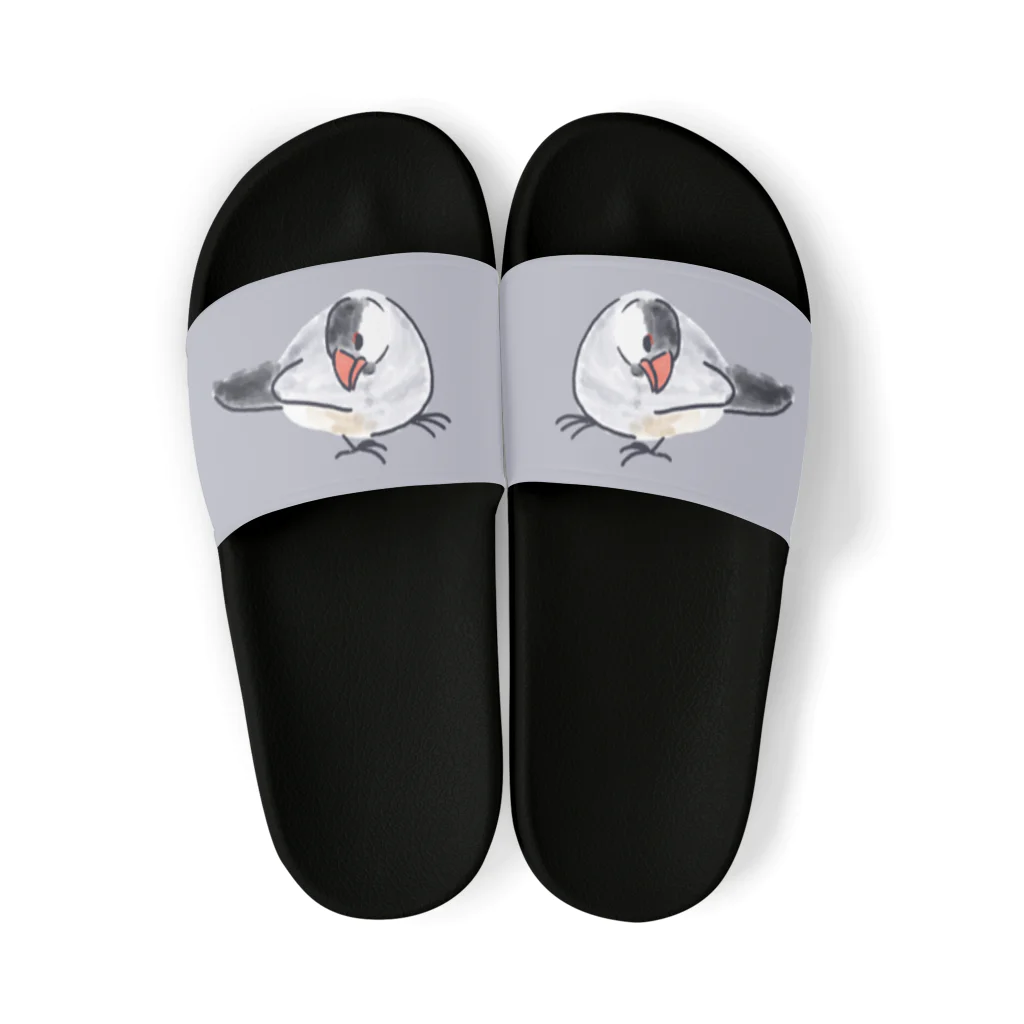 オズマジョの文鳥だよ Sandals