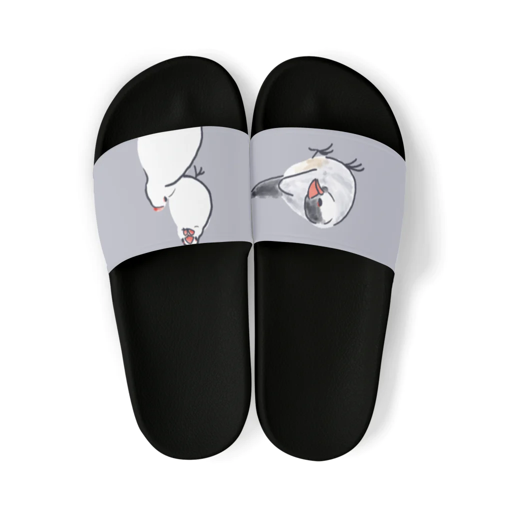 オズマジョの文鳥 Sandals