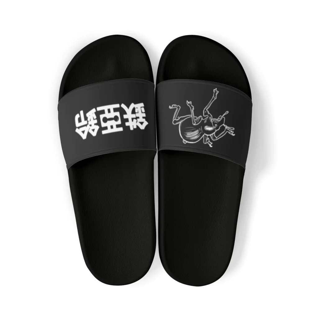 くいなの母の鉄アレイ Sandals