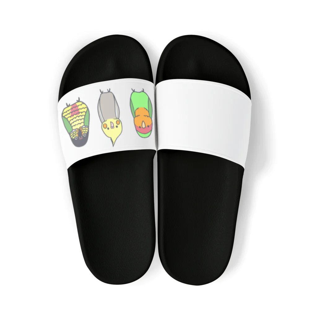 PYPショップの名前なしカラー版　よもぽぽぴぃ Sandals