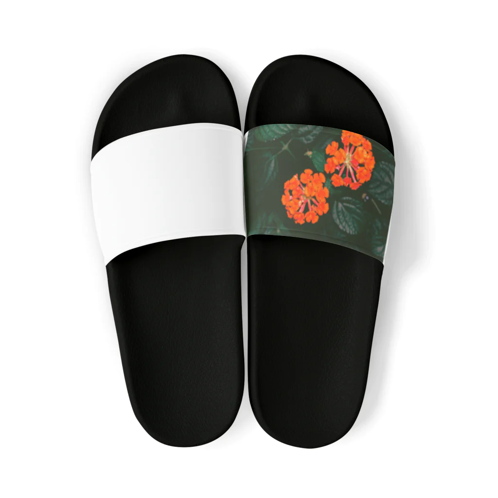 Gohanの花 Sandals