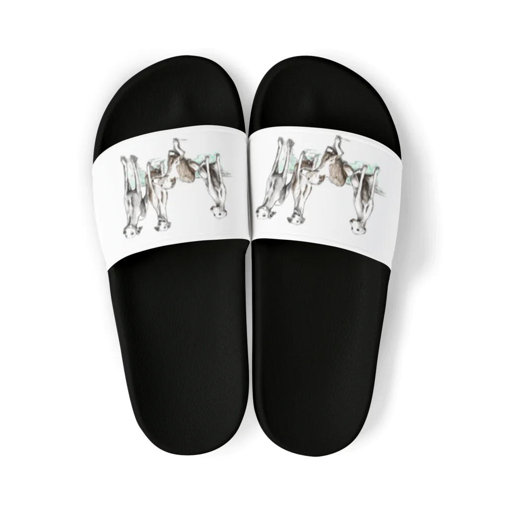 I-Asis-D SHOPのWIHPPET　Series Sandals