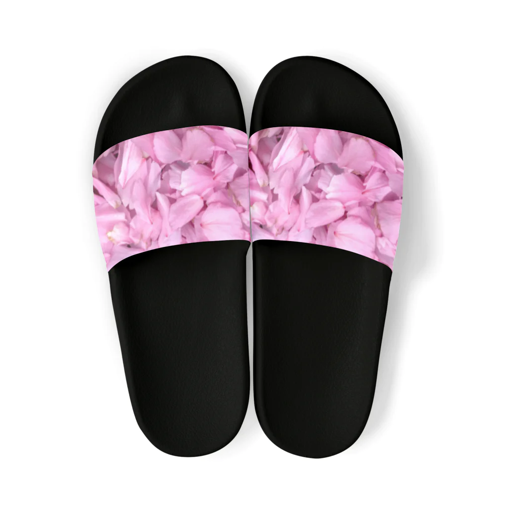 おしおのきままの桜 Sandals