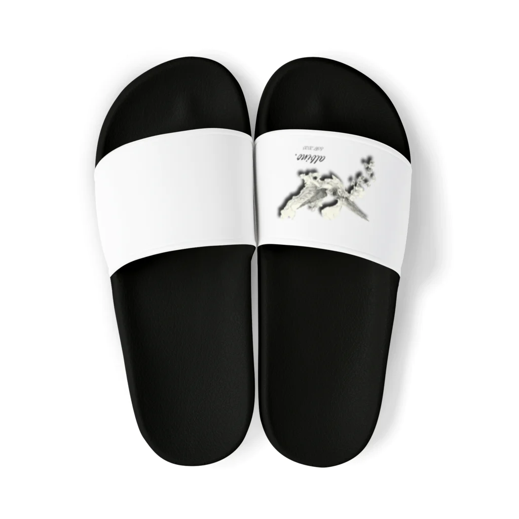 【 ALBINO. 】　Online Store！！のalbino. White Line. Sandals