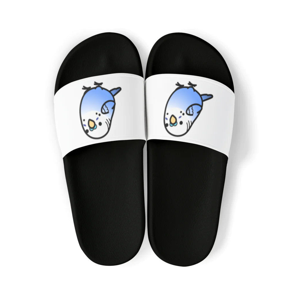 Cody the LovebirdのChubby Bird セキセイインコ Sandals