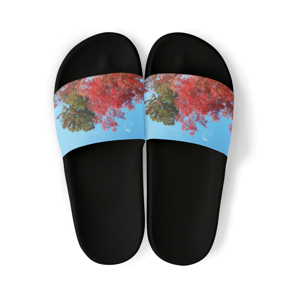 たむっち!の紅葉 Sandals