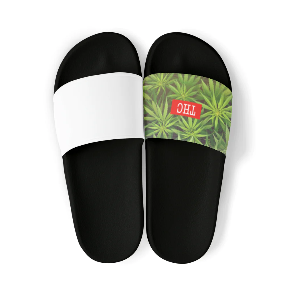 マリファナ　大　麻太郎のTHC CBD 大麻　 Sandals