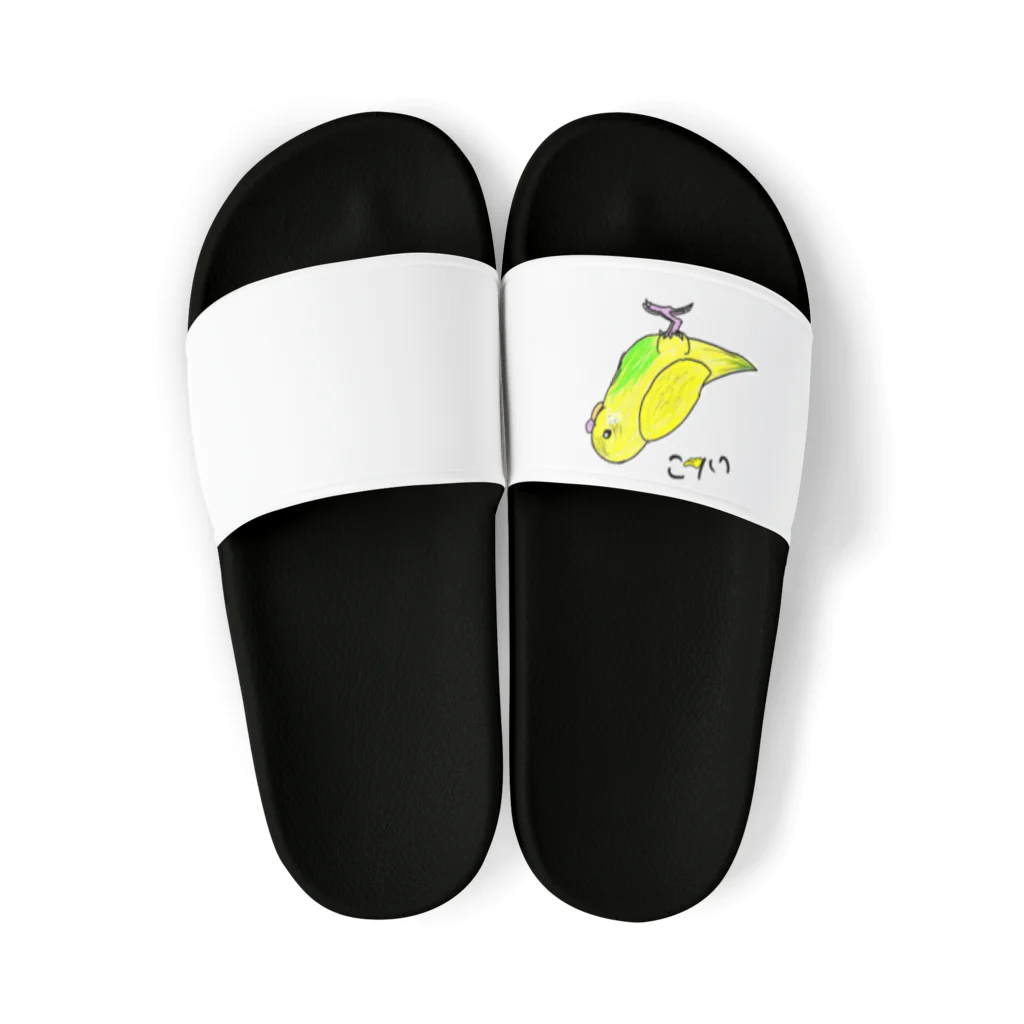 れもんのインコ　動物シリーズ Sandals