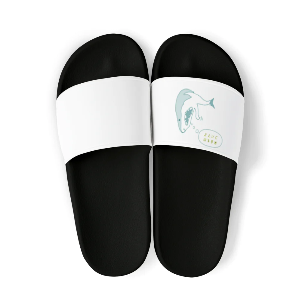 【サメグッズ】　KAZUの来るものコバマズさめ Sandals