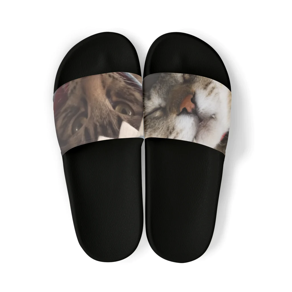 shop/jinショップジンのおでぶ猫こころくん Sandals