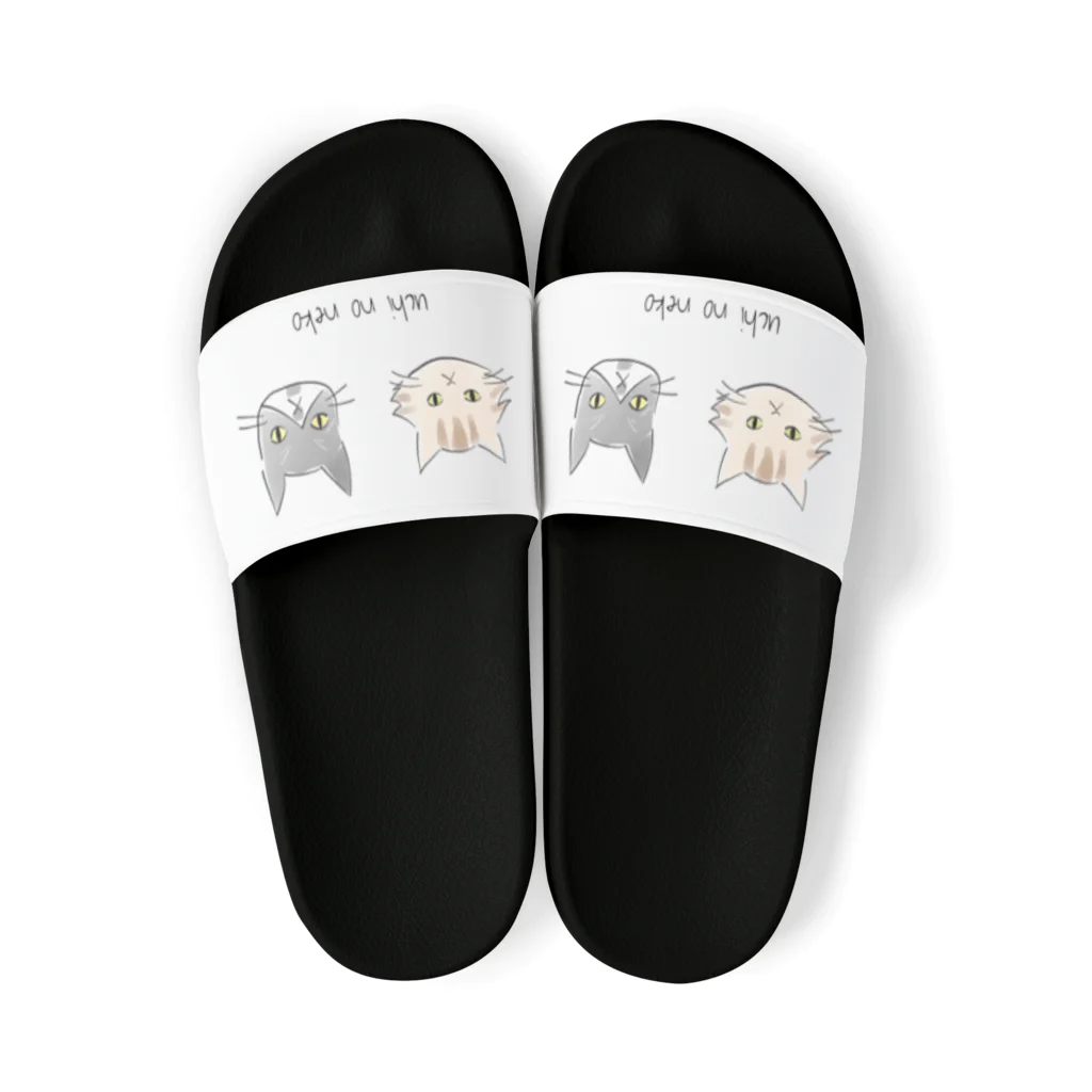 猫井コーシュカのuchi no neko Sandals