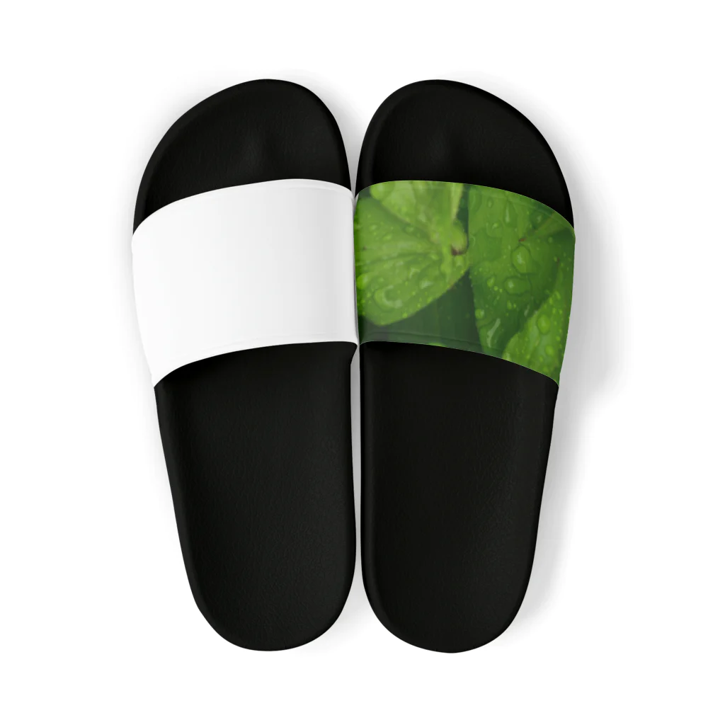 Junsuke Yanagisawaのleaf Sandals