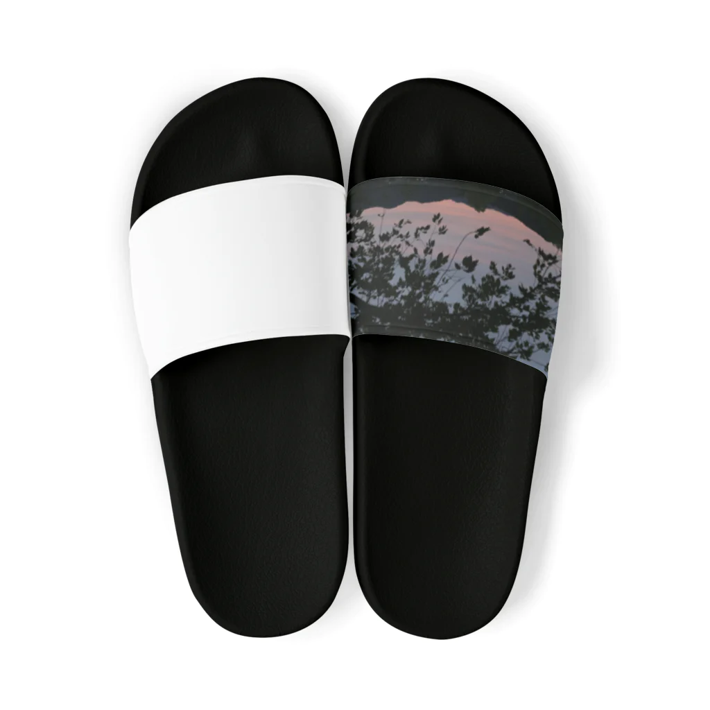 sumomのMOUNTAIN_tree Sandals