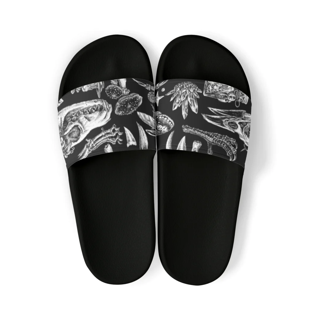 BLACKINKのNest Sandals