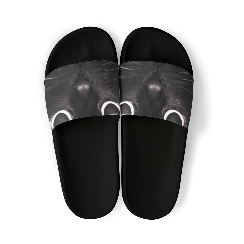 Darkness and individualityのBlack Cat Sandals