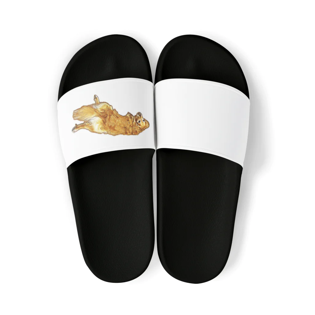 flatcoatedretrieverのgolden retriever Sandals