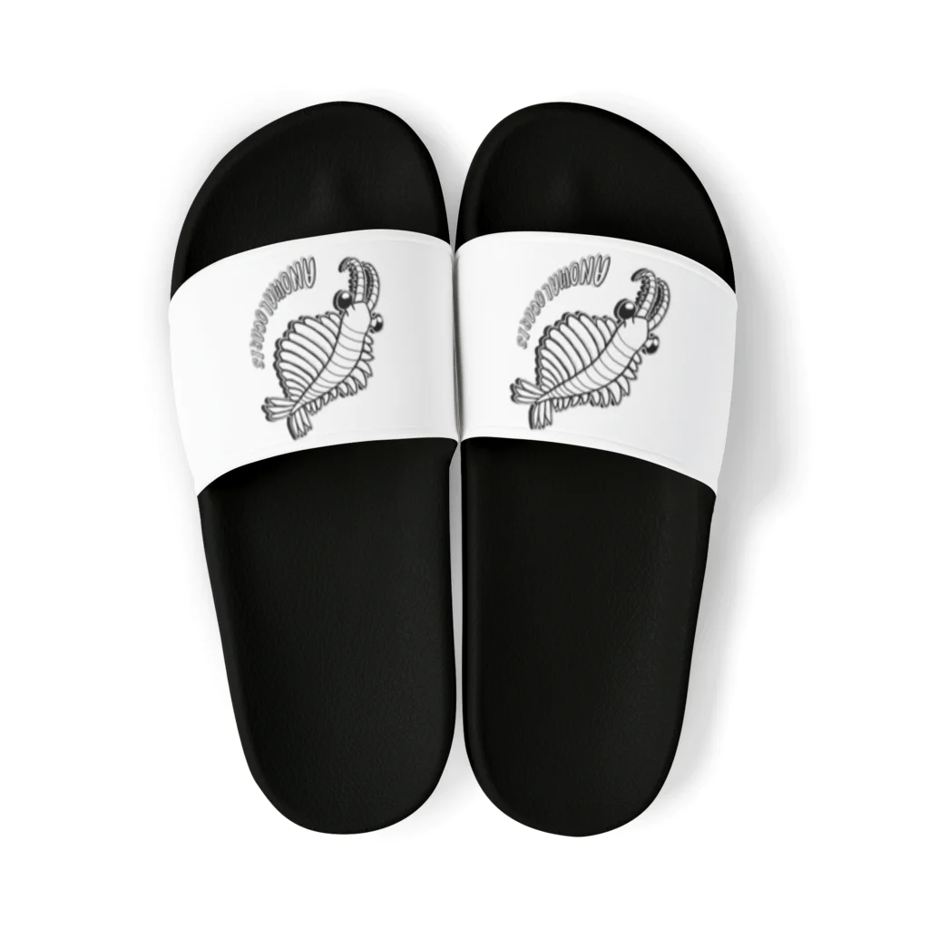 LalaHangeulのAnomalocaris (アノマロカリス) Sandals