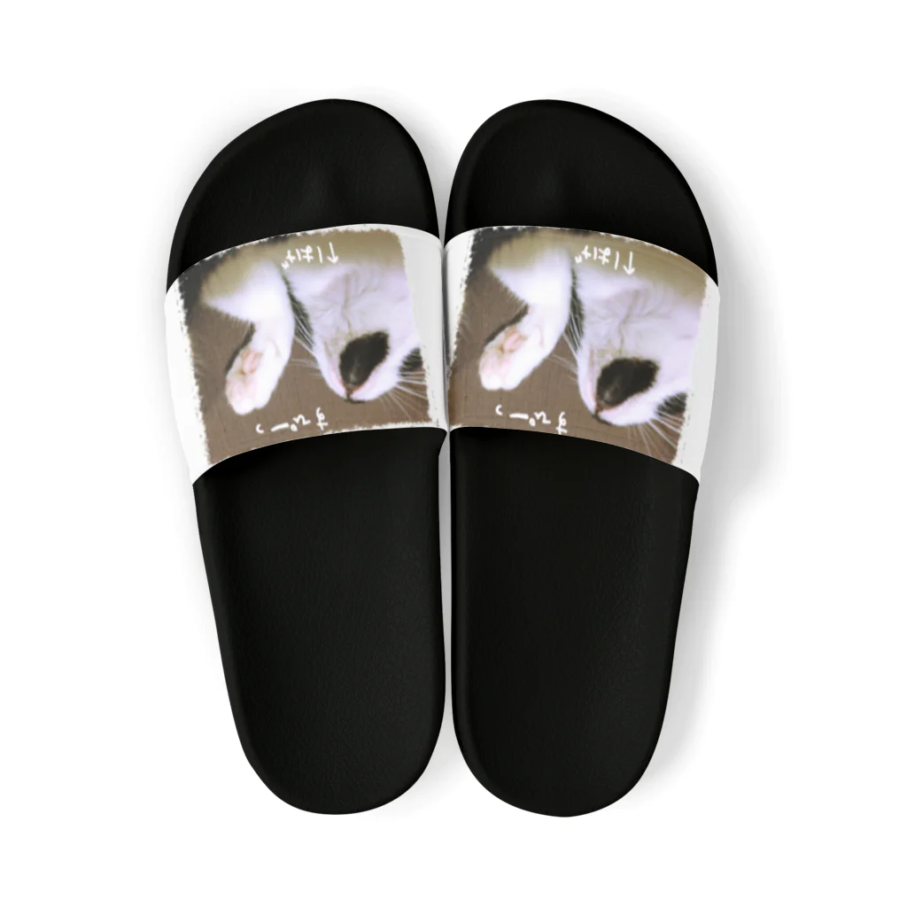 neko_leafのおハゲ猫 Sandals