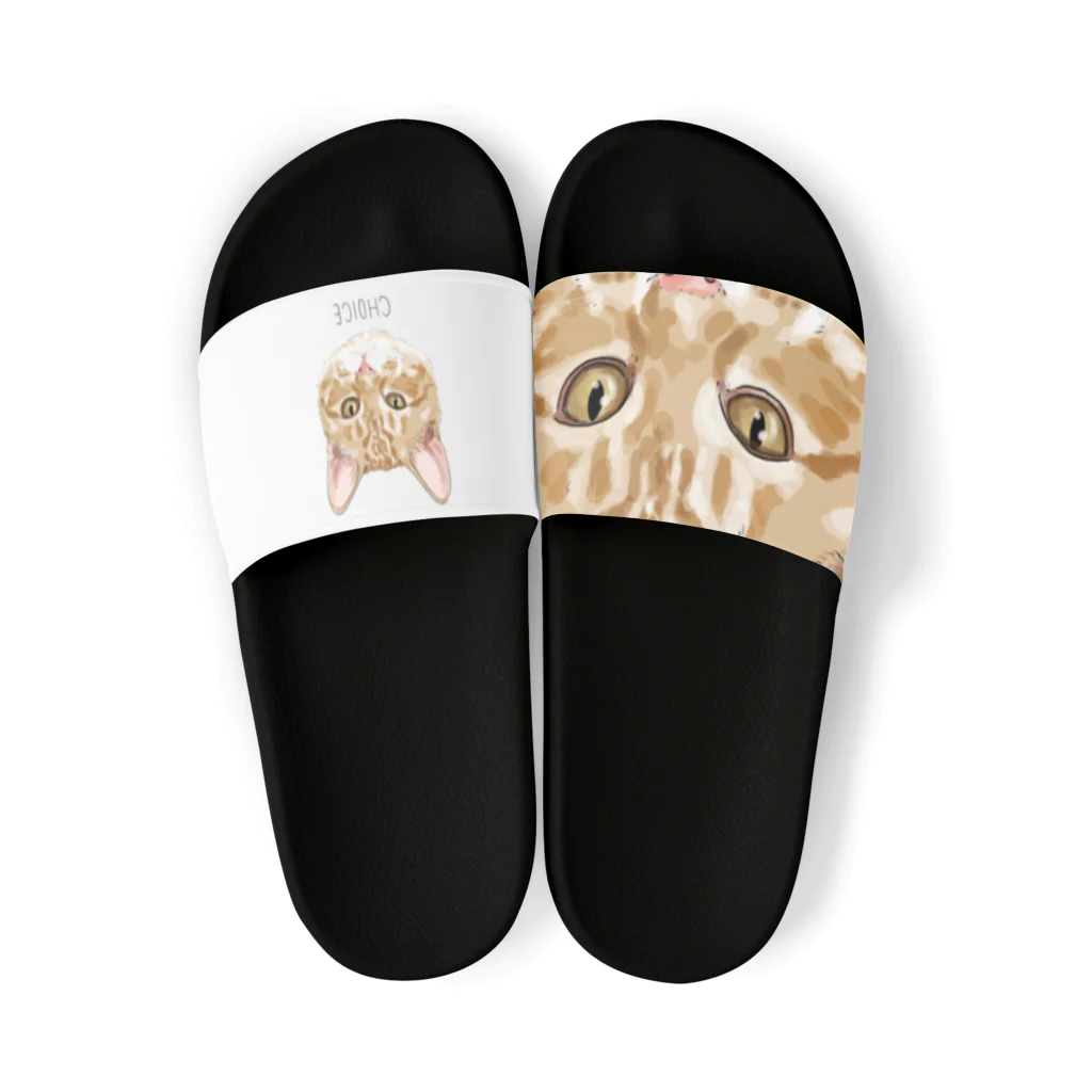 みきぞーん｜保護猫 ミッキー画伯と肉球とおともだちのchoice Sandals