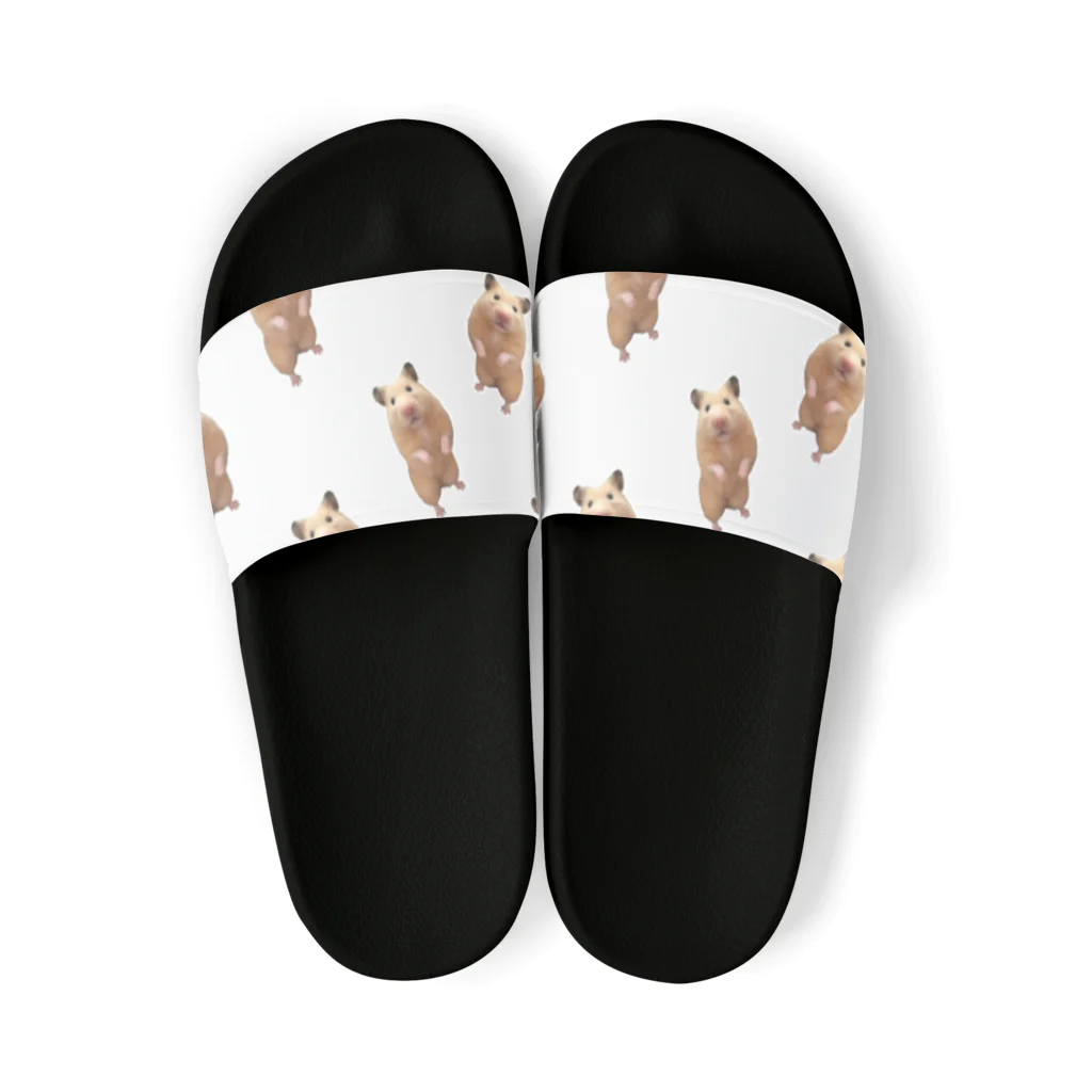 キンクマハムスターふろちゃんショップのふろちゃんサンダル Sandals