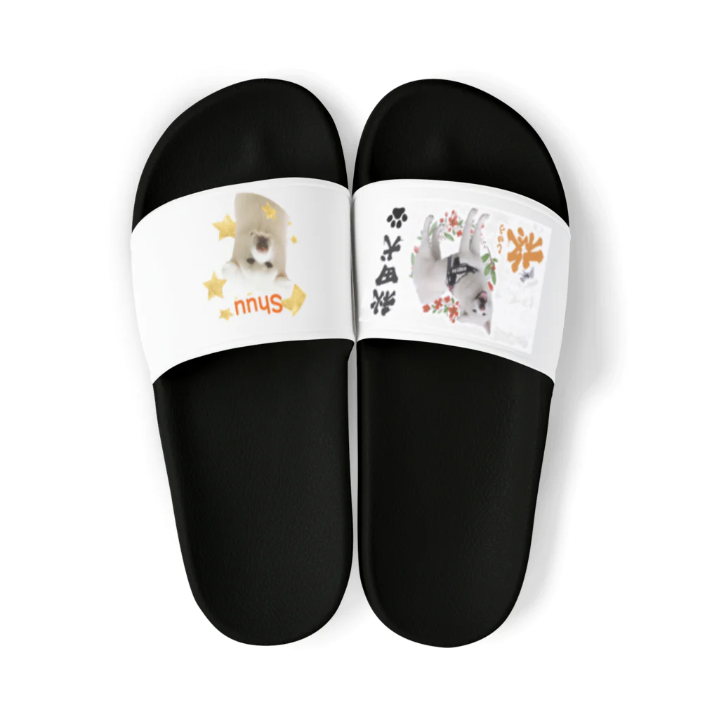 秋田犬の柊の柊de名刺デザイン Sandals