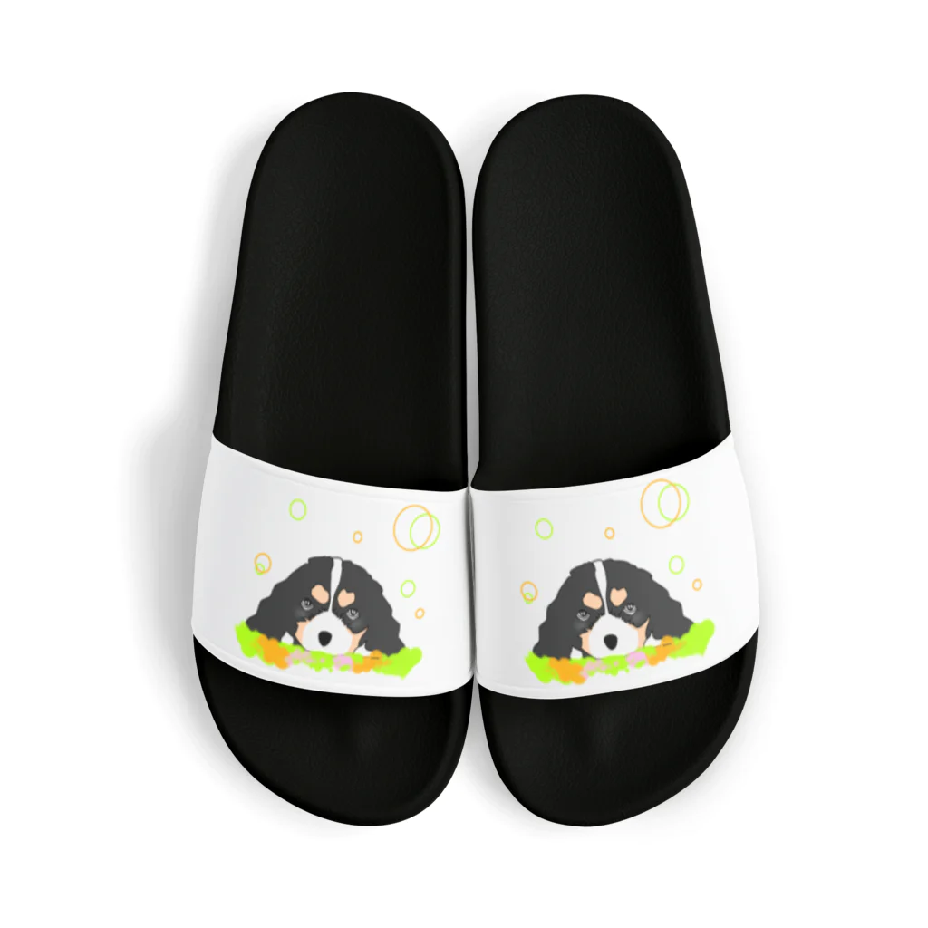 greetenのキャバリアトライカラー癒し犬 Sandals