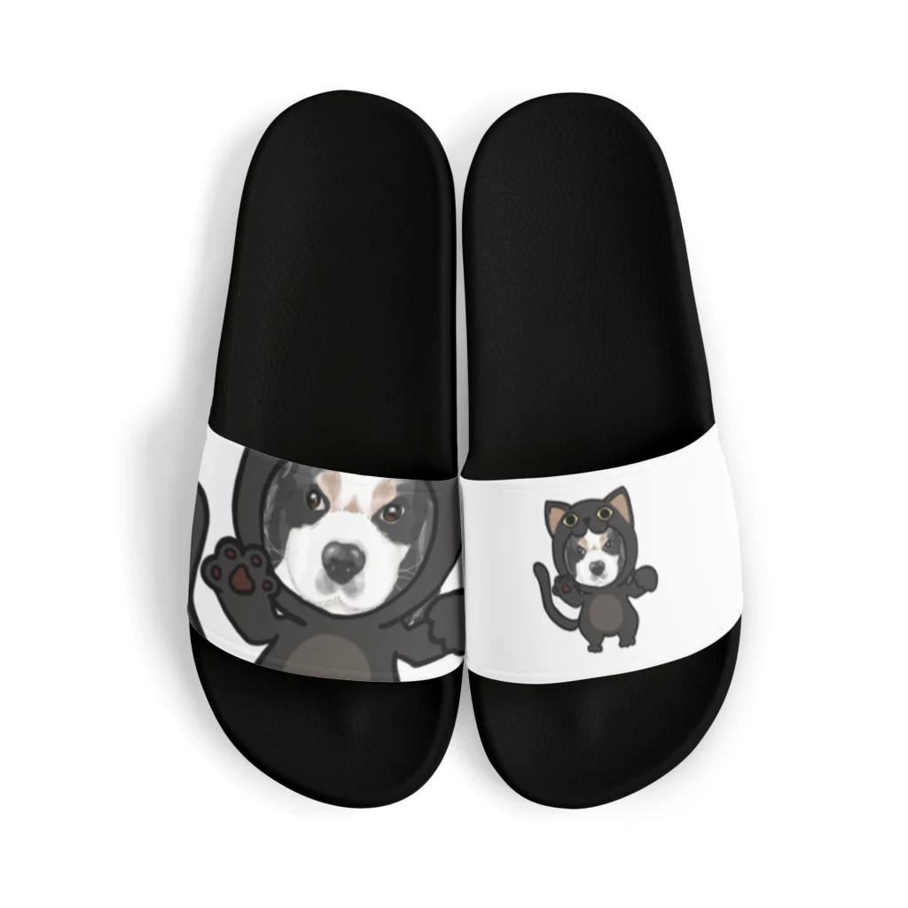 みきぞーん｜保護猫 ミッキー画伯と肉球とおともだちのmaruku Sandals