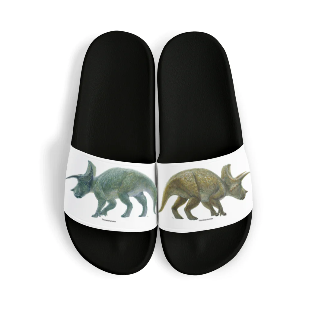 segasworksのTriceratops prorsus(トリケラトプス ・プロルスス)着彩画 Sandals