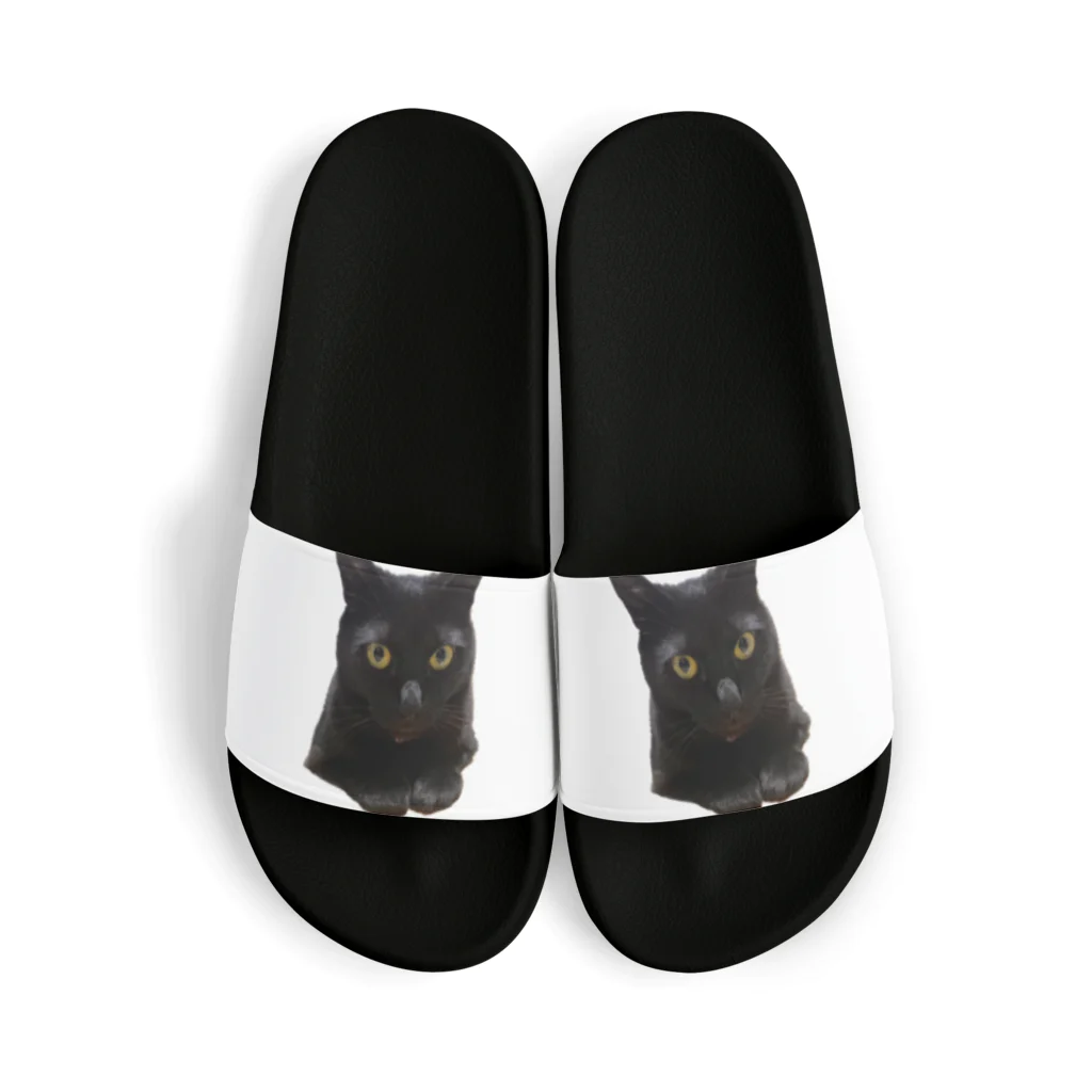 ソヒのショップのリラックス黒猫 Sandals