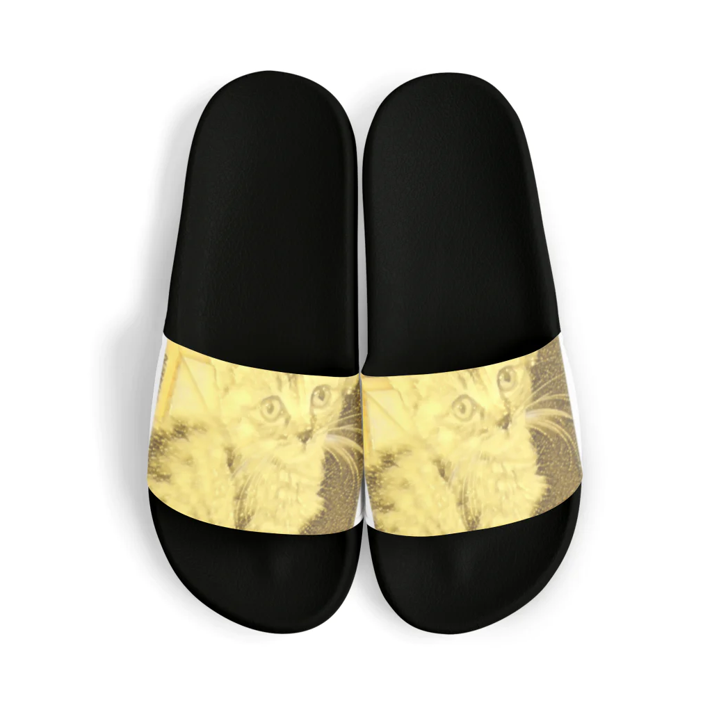 金色猫のキラキラネコ Sandals