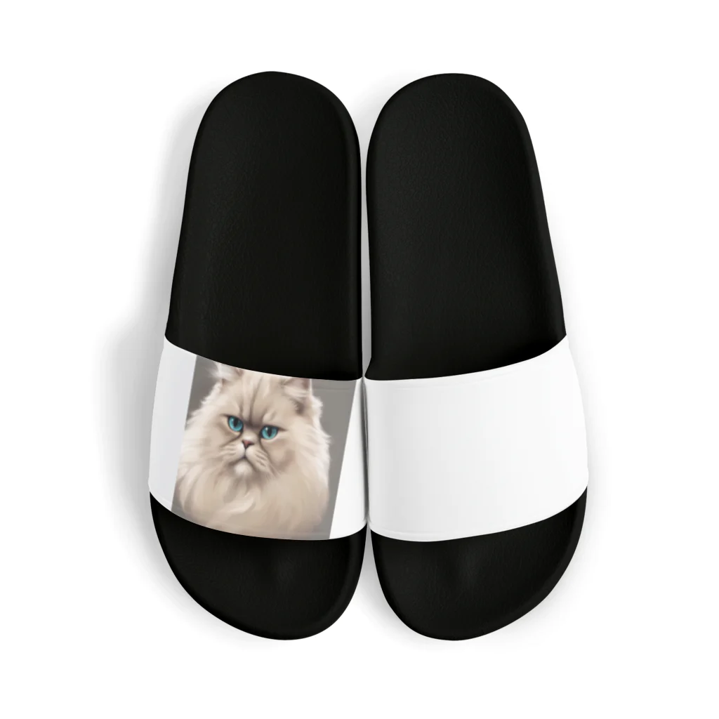 千裕アトリエ（いつもありがとう）のペルシャキャット（Persian Cat） Sandals