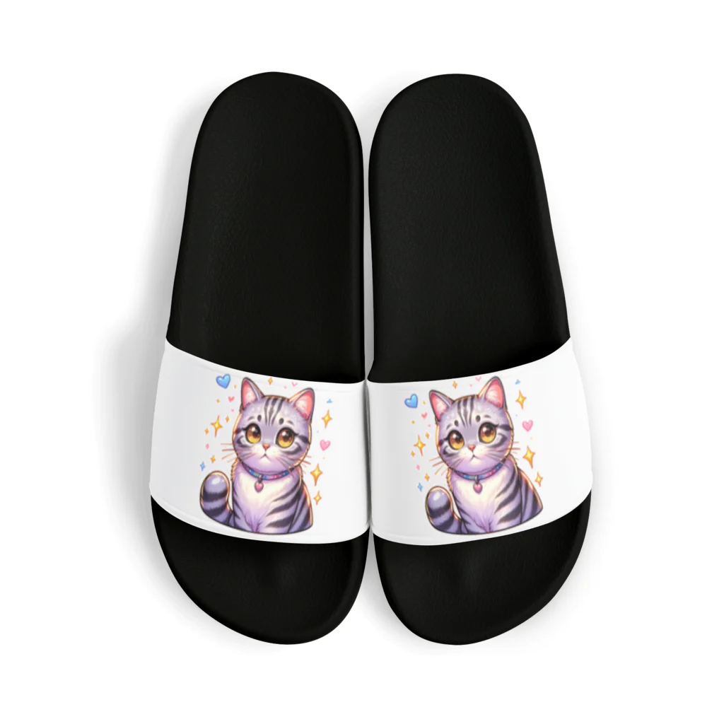 Stellaのアメショーのメイちゃん　キュート猫シリーズ Sandals