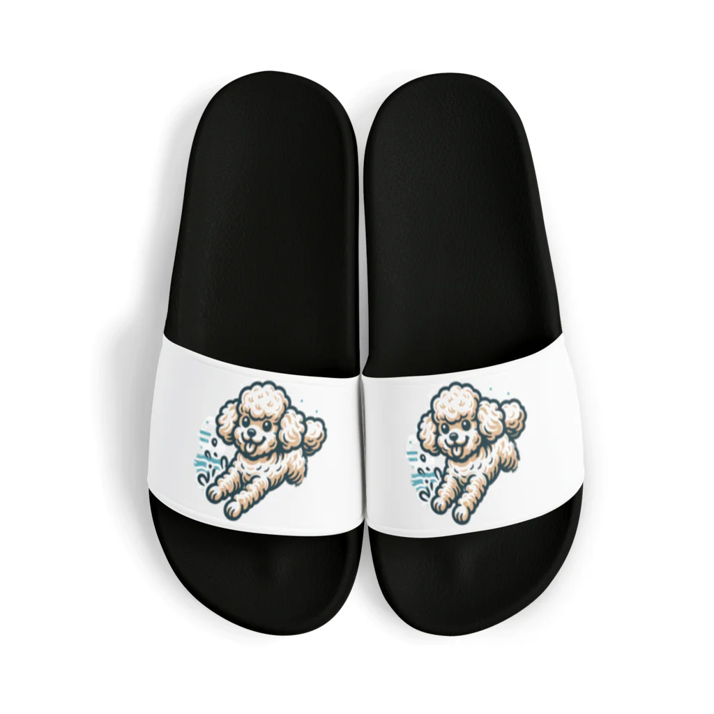 Tokyo_Doodleのもふもふアプリコット　トイプードル　みずあそび Sandals