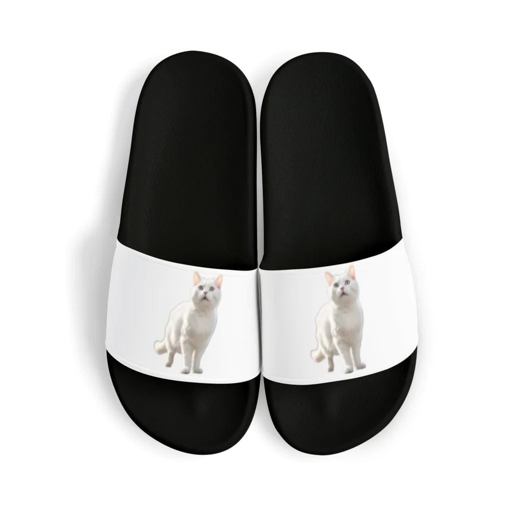 kiryu-mai創造設計の白猫ちゃん Sandals