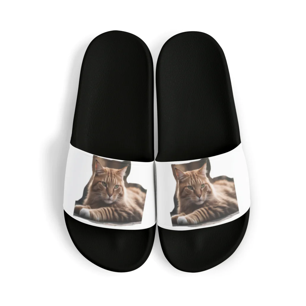 某アニメ風グッズの【猫の日記念】ちょっと不機嫌な猫 Sandals