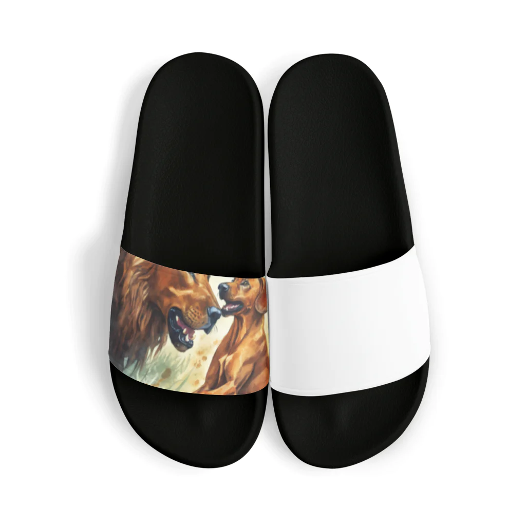 DREAMHOUSEのローデシアンリッジバック Sandals