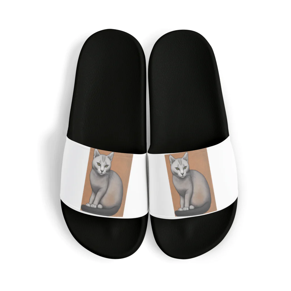 F2 Cat Design Shopのhairless cat 001 Sandals