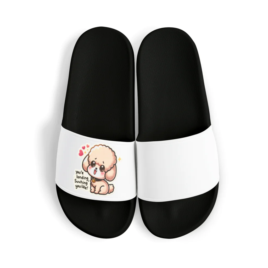 keikei5のトイプードルはまるでぬいぐるみのよう Sandals