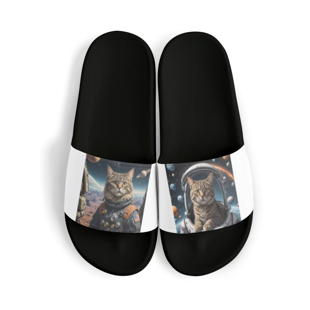 roogerの宇宙猫1 Sandals