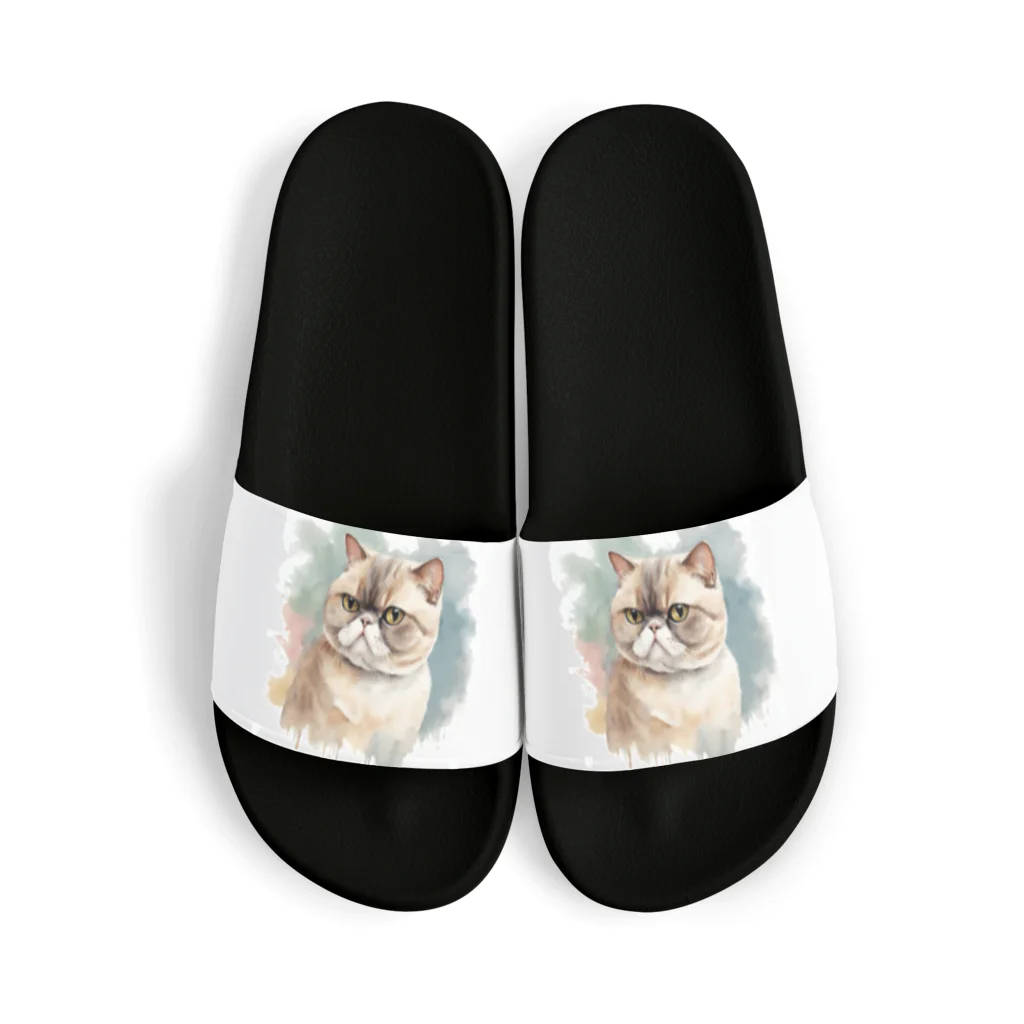 yae_8の猫　ストリートアート風 Sandals